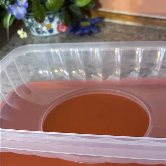 Party  jello  mold 10 1/2 tazasOrange Cake Carrier with Lid - Picture 4 of 5